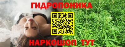 спайс Обь